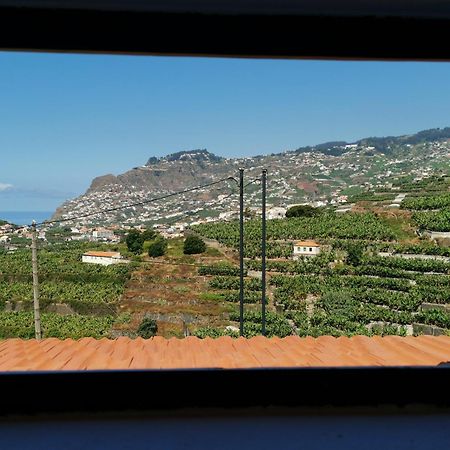 Villa Nova Madeira In Funchal Casa A And B 객실 사진