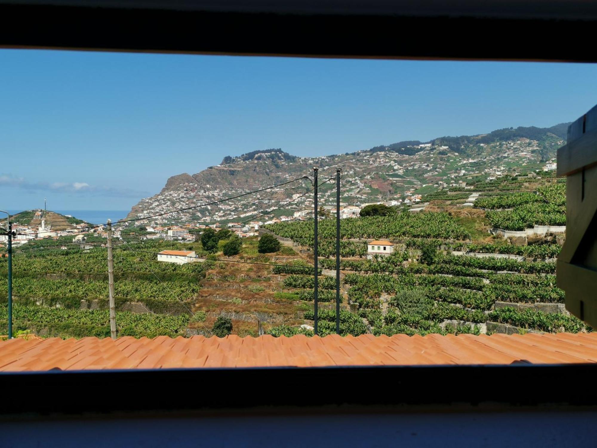 Villa Nova Madeira In Funchal Casa A And B 객실 사진